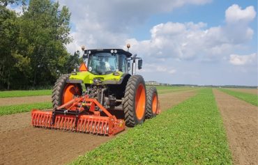 Strokenteelt bij Cornelis Mosselman